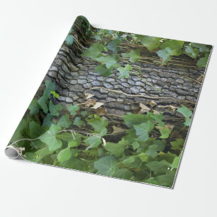 Oak och murgröna som slår in papper presentpapper