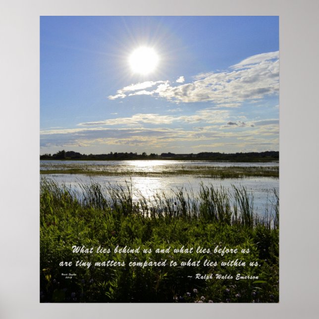 Oak Orchard Swamp Poster (Framsidan)