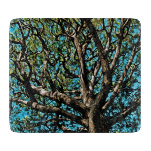 Oak Träd