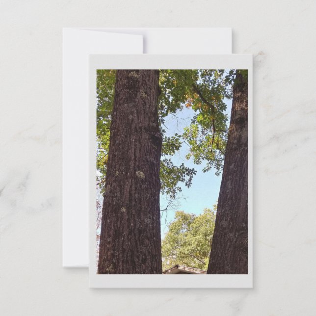 Oak Träd-anteckningskort Tack Kort (Framsida)