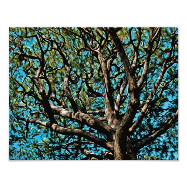 Oak Träd Fototryck (Framsidan)