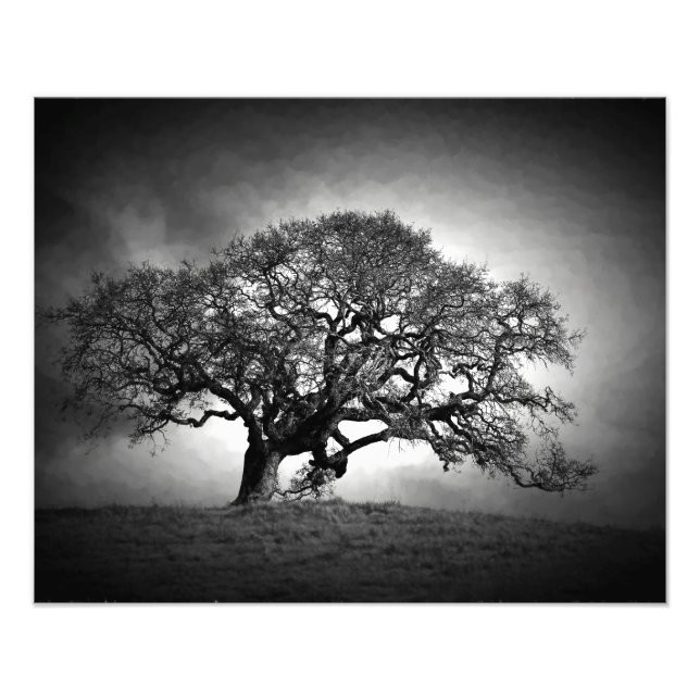 OAK TRÄD FOTOTRYCK (Framsidan)