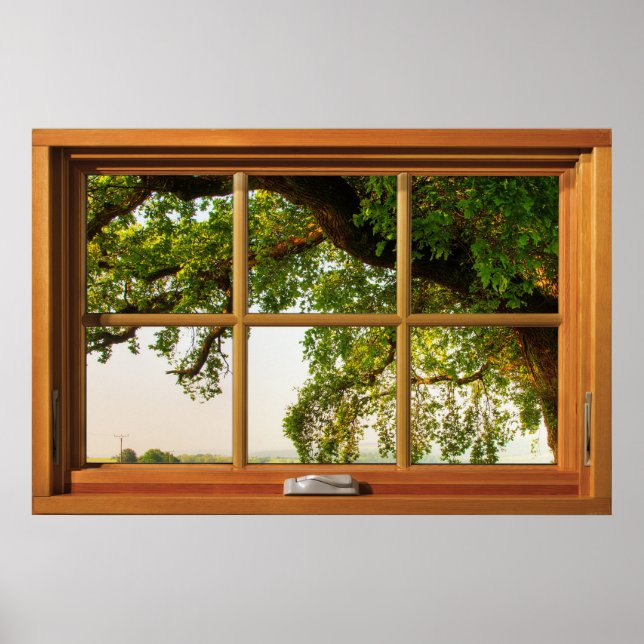 Oak Träd Grenar Wooden Window Illusion Poster (Framsidan)