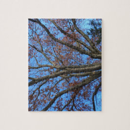 Oak Träd i en blå höst Himlar - Pussel