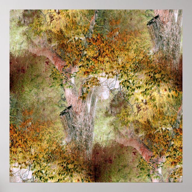 Oak träd i Fall.. Poster (Framsidan)