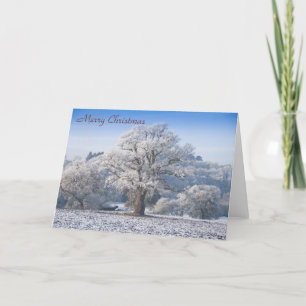 Oak Träd i Frost julkort Helgkort
