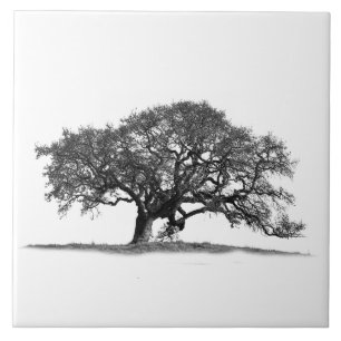 OAK TRÄD I SILHOUETTE KAKELPLATTA