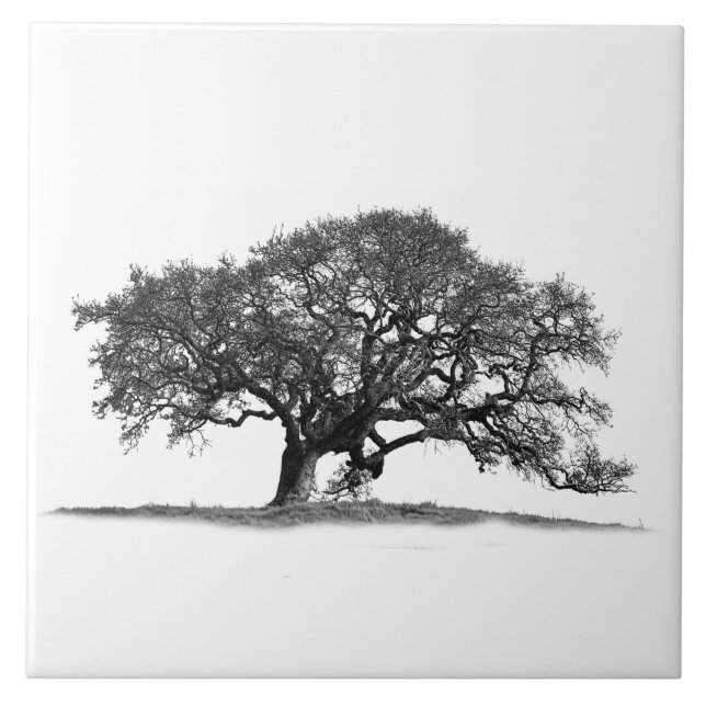 OAK TRÄD I SILHOUETTE  KAKELPLATTA (Framsidan)