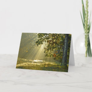Oak Träd med morgonsolstrålningsfotografi Kort