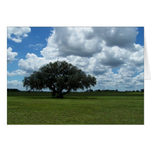 Oak Träd och Clouds Hälsningskort