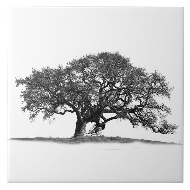 OAK TRÄD ON WHITE KAKELPLATTA (Framsidan)