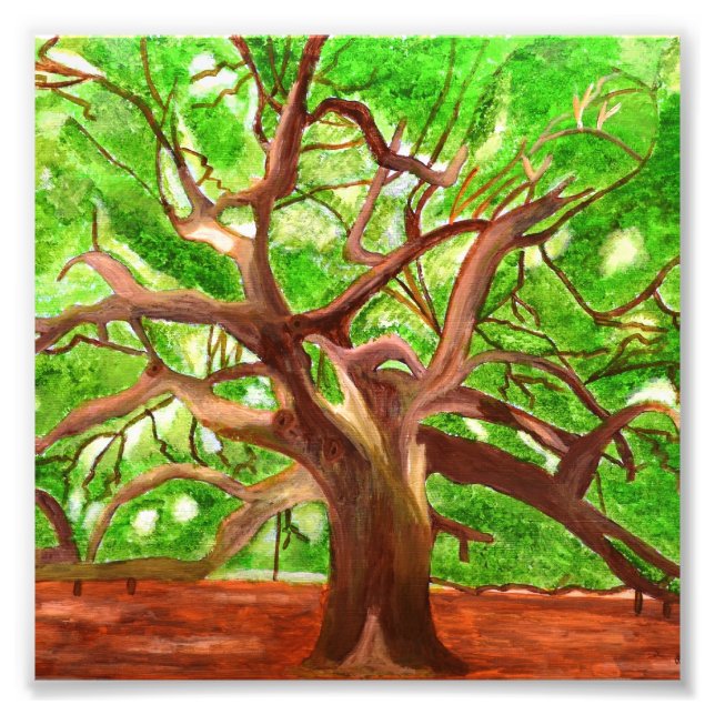 Oak Träd Photo Fototryck (Framsidan)