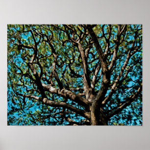 Oak Träd Poster