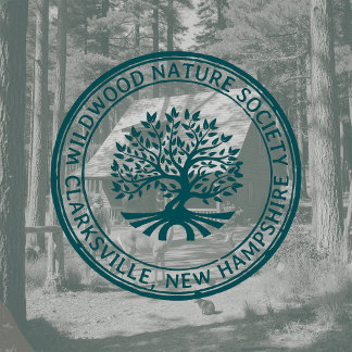 Oak Träd Rustic Gräns Adress Natur och näringsliv Stämpel