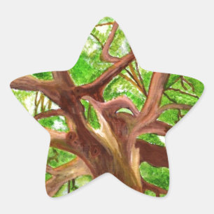 Oak Träd Stjärnformat Klistermärke