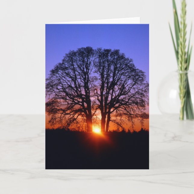 Oak träd vid solnedgången kort (Framsida)