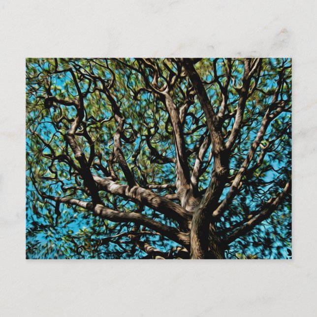 Oak Träd Vykort (Framsida)