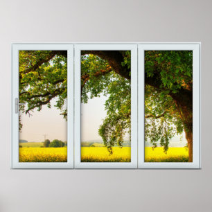 Oak Träd White 3 Pane Window Illusion Poster