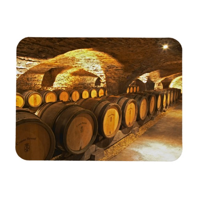 Oakbarler i källaren i Domaine Comte Magnet (Horisontell)