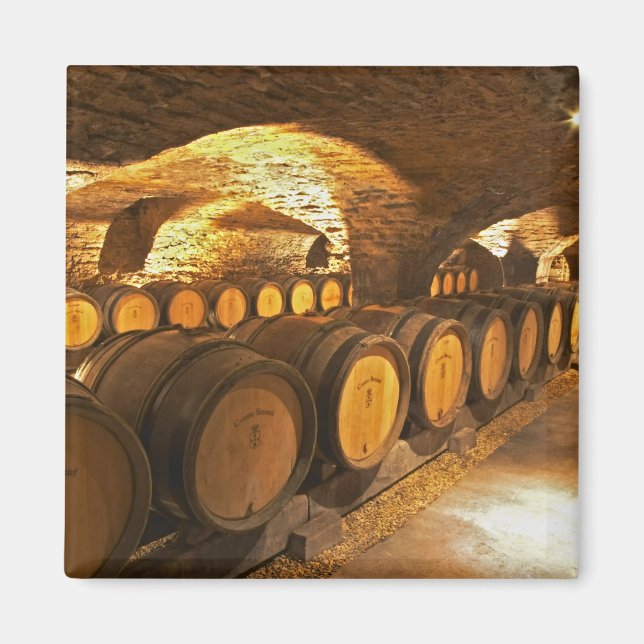 Oakbarler i källaren i Domaine Comte Magnet (Framsidan)