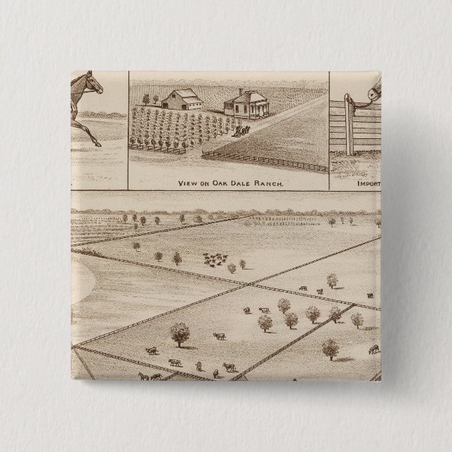 Oakdale Ranch Knapp (Framsida)