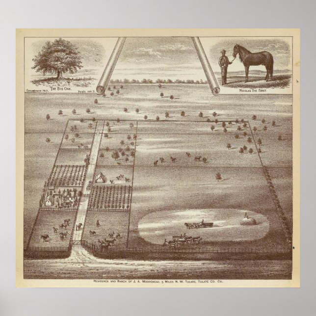 Oakdale Ranch Poster (Framsidan)