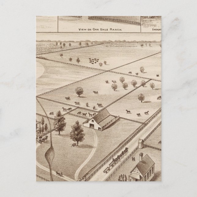 Oakdale Ranch Vykort (Framsida)