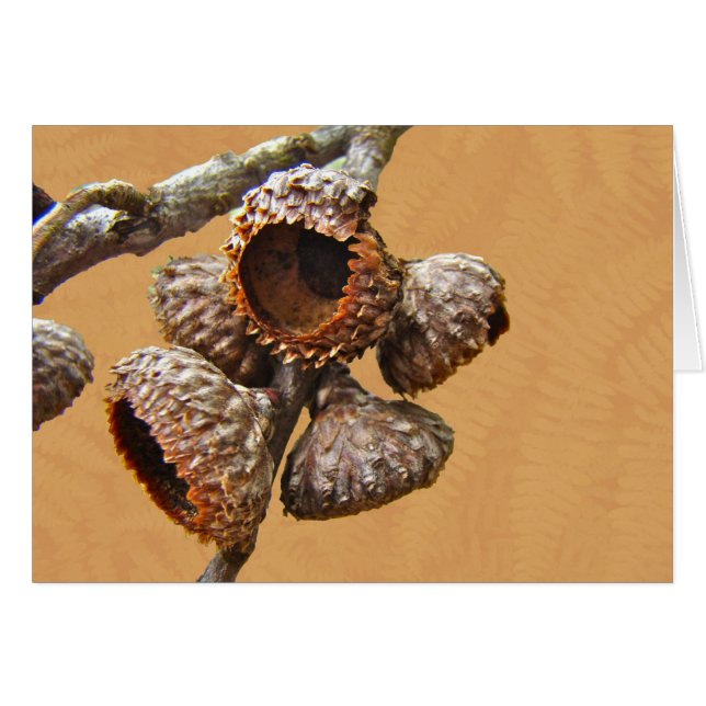 Oakekollonlock Hälsningskort (Framsidan Horizontal)