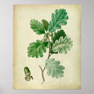 Oaken lämnar dekoren för lantbrukarhemmet för poster