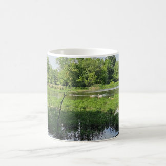 Oakland Metropark Svanar Kaffemugg