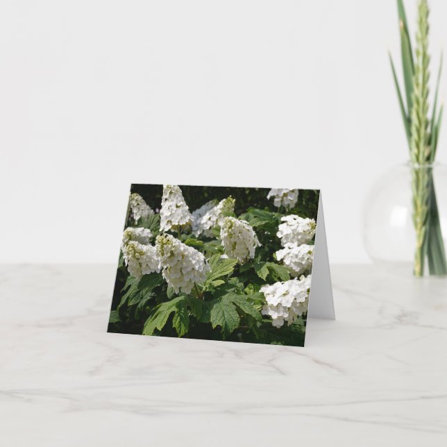 Oakleaf Hydrangea Anteckningskort (Framsida)