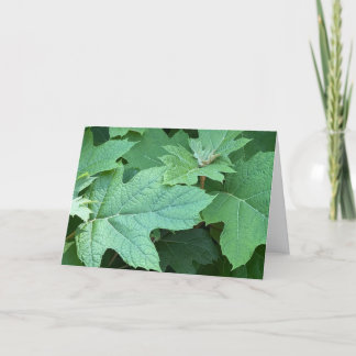 Oakleaf Hydrangea Blank Note Card Tack Kort