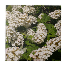 Oakleaf Hydrangea Ceramic Tile Kakelplatta