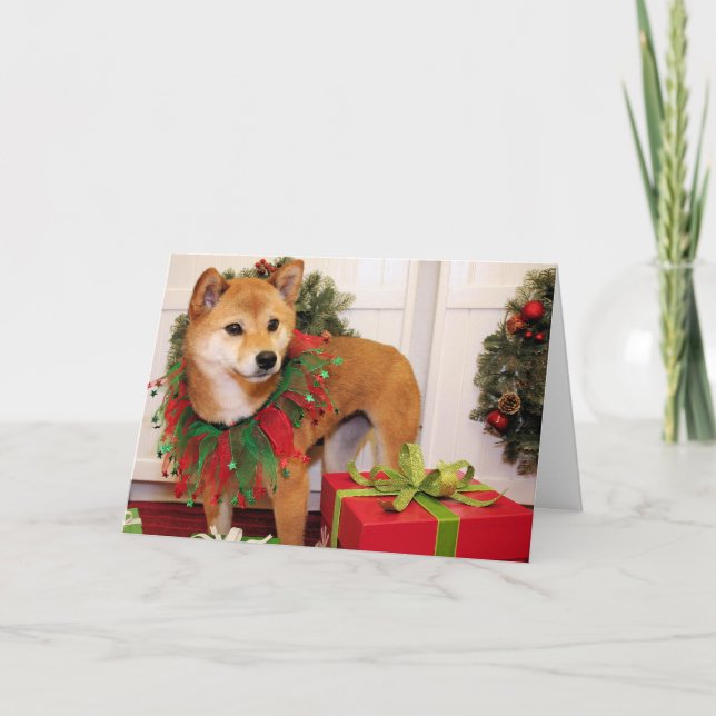 Oakley - Shiba Inu - VanBladel Helgkort (Framsida)