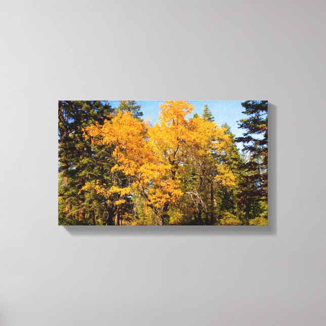 Oaks i Fall Canvastryck (Framsida)