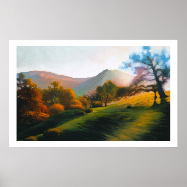 Oaks i Poly Canyon Poster (Framsidan)