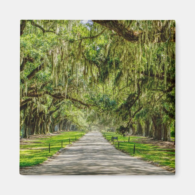 Oaks vackra plats magnet (Framsidan)