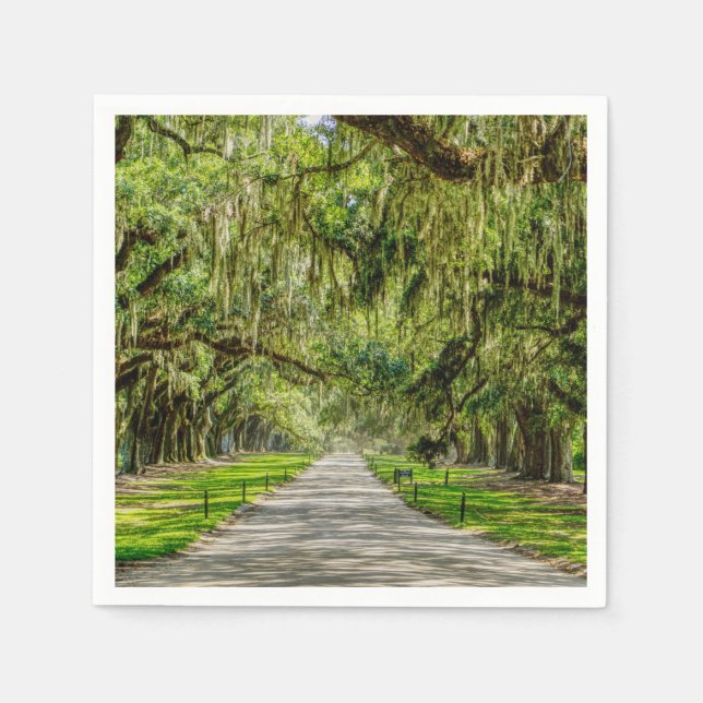 Oaks vackra plats pappersservett (Framsidan)