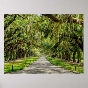 Oaks vackra plats poster