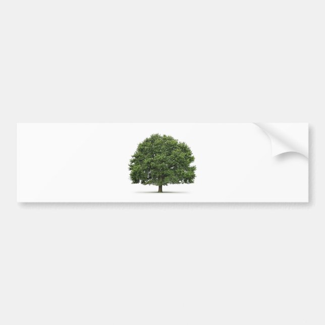 Oakträd Bildekal (Framsidan)