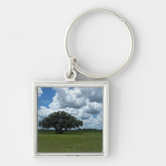 Oakträd och moln fyrkantig silverfärgad nyckelring (Framsidan)