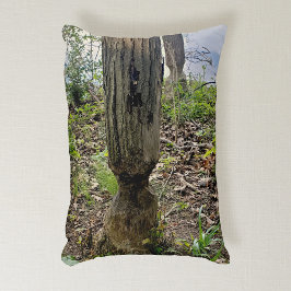 Oakwood Metropark Beaver Trail Prydnadskudde