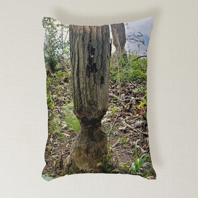 Oakwood Metropark Beaver Trail Prydnadskudde (Skapare uppladdad)