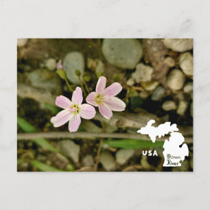 Oakwood Metropark Springskönhet med Logotyp Vykort