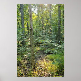 Oakwood Metropark Trail Poster sommarskog