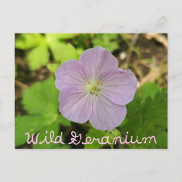 Oakwood Metropark Vild Geranium med text Vykort