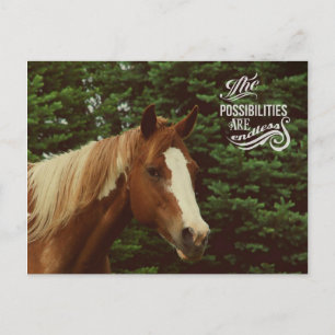 Oändliga möjligheter Måla horse Mare Vykort