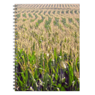 Oändliga rader i den bärbara datorn Maj Spiral Anteckningsbok