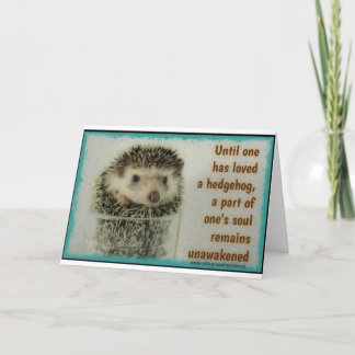 Oantarktisk sjö - födelsedagskort kort