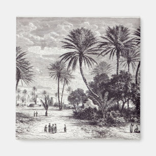 Oas av Gafsa: Tunis Magnet